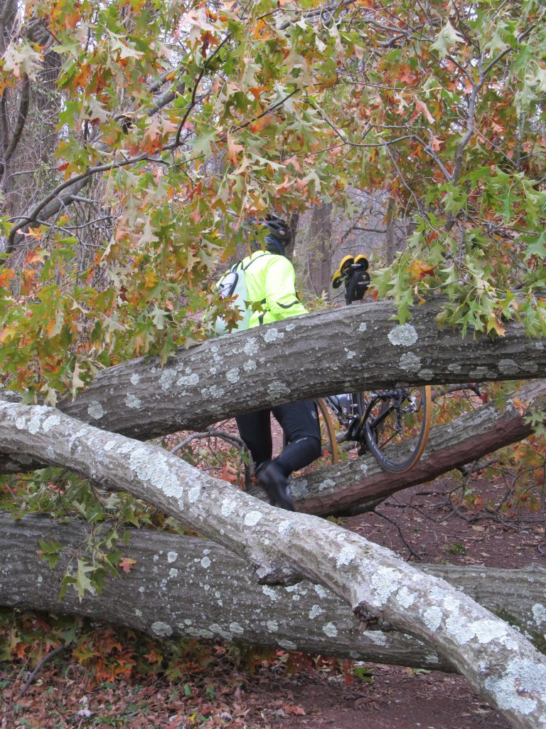 Climbing Through