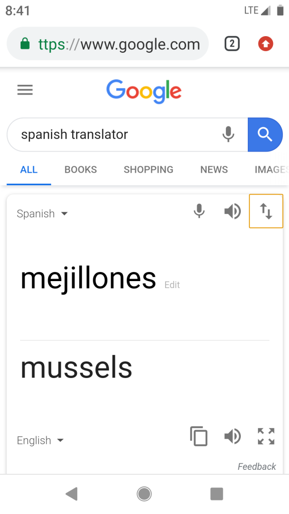 Google Translator Screenshot