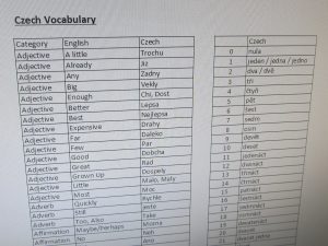 Vocabulary Cheat Sheet
