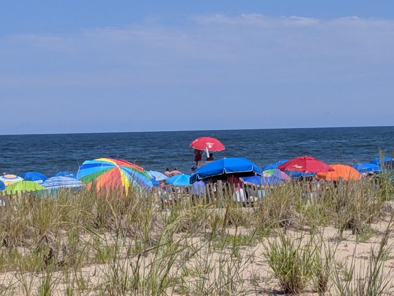 Delaware Beaches Day Ride RoundNRound