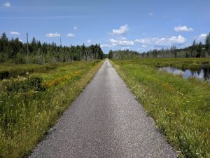 Trail in North