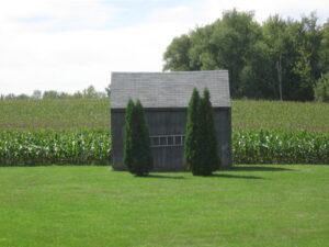Shed Trees